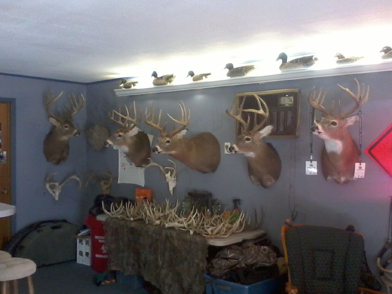 THE WALL IN THE MAN ROOM