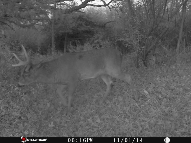 Thick, also one of 2014's targets