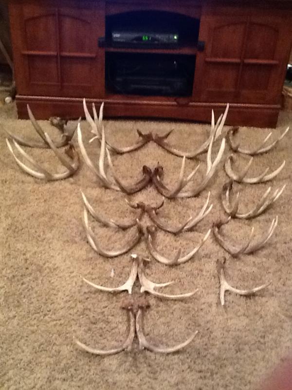 This year, as of 1/13/13