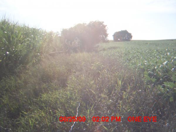 trail cam 2009 012