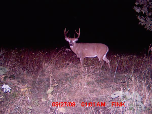 trail cam pic.9 29 09 007