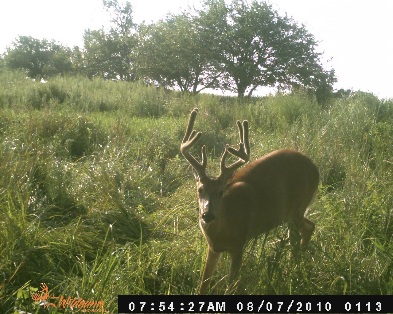 Trail Cam