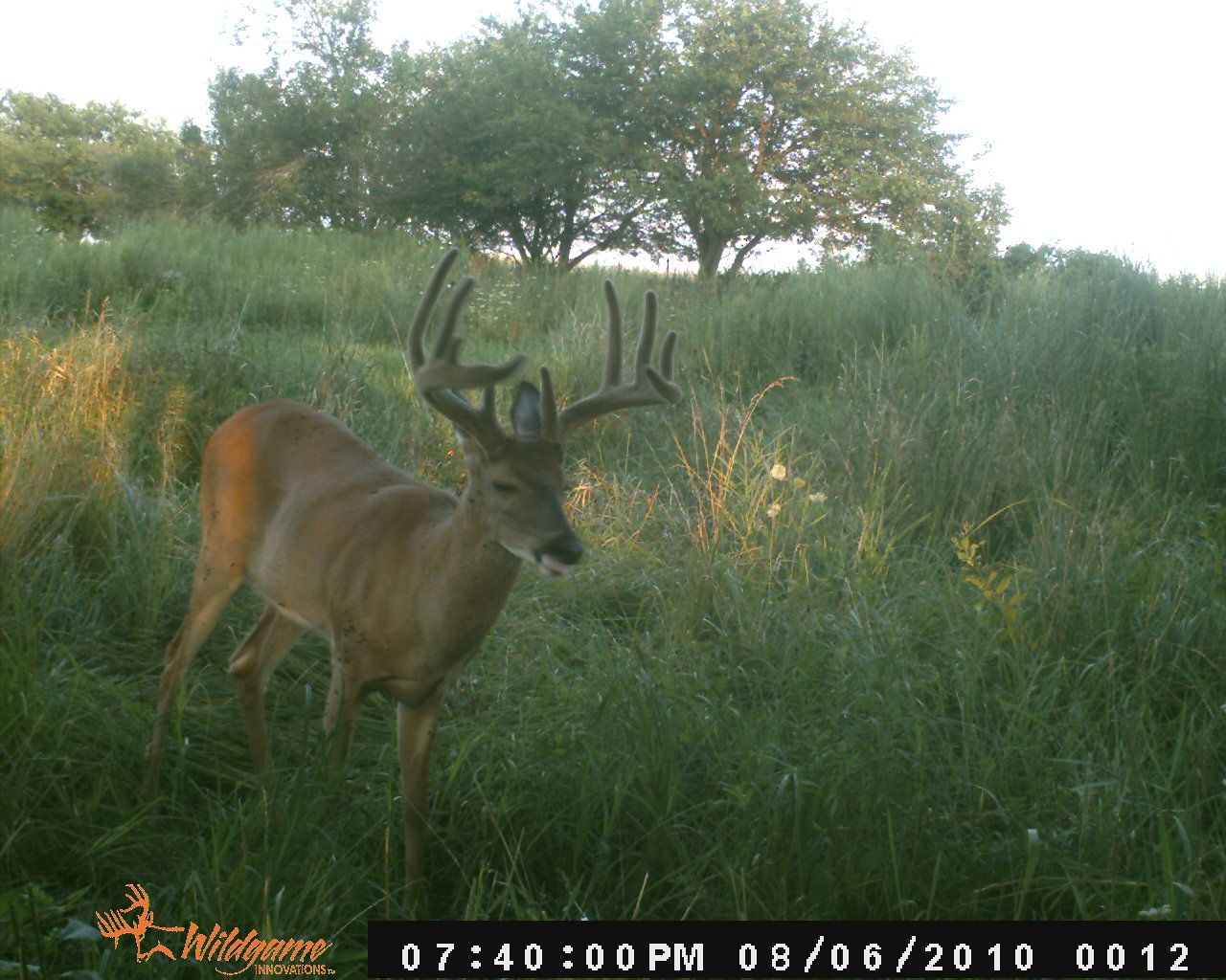 Trail Cam