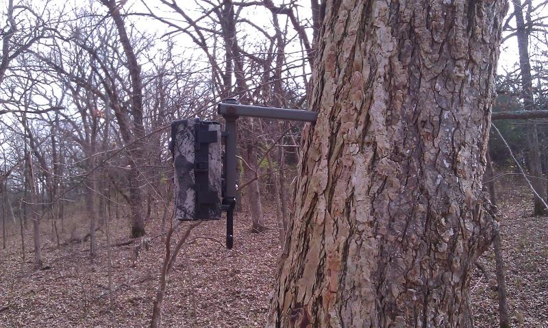 Trail Camera mount