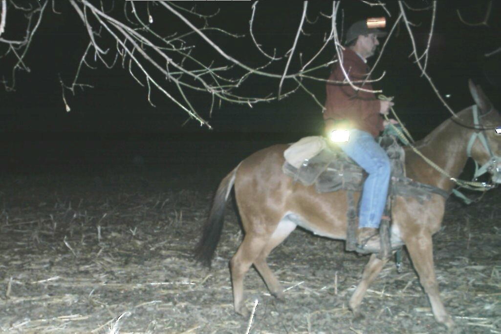 Trail Pic