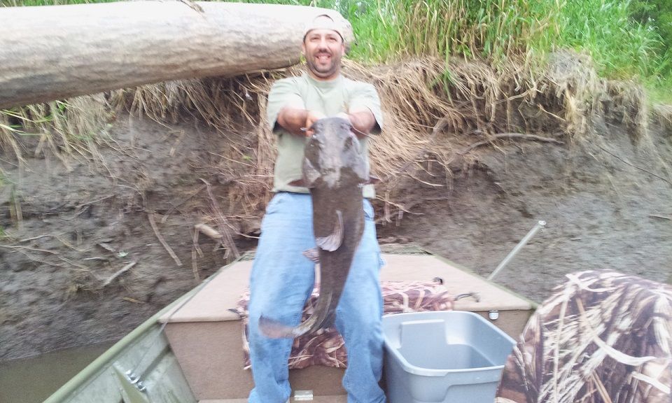 Troy flathead