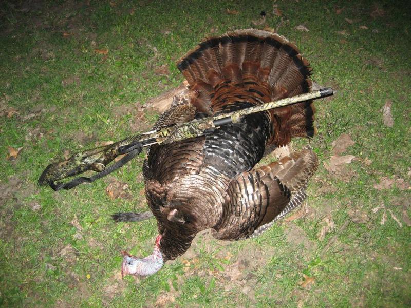 turkey 4th season