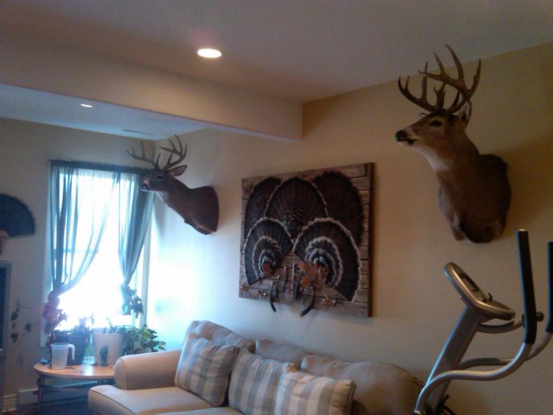 Turkey Mount