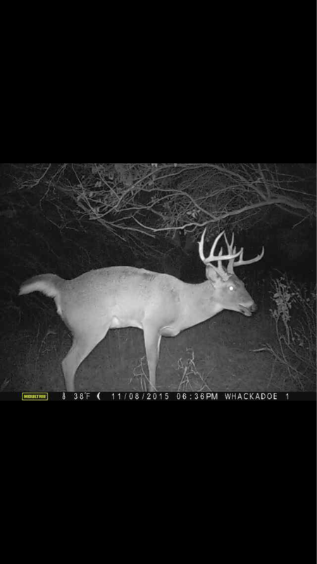 Ugly rack