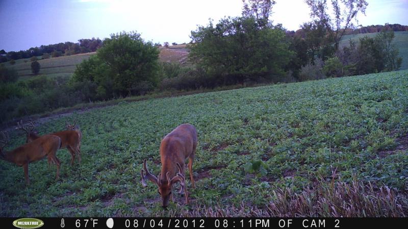 up and comer