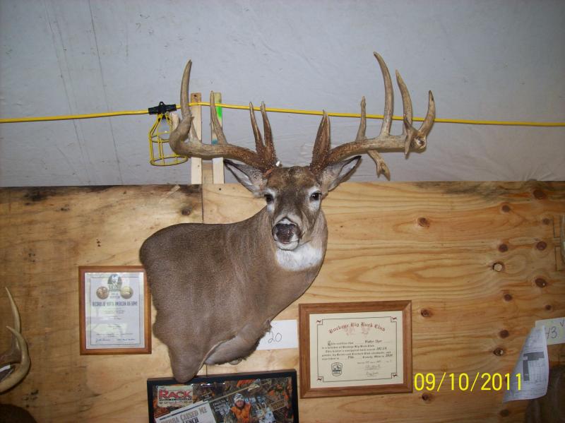 Walter Oyer buck, 202 3/8