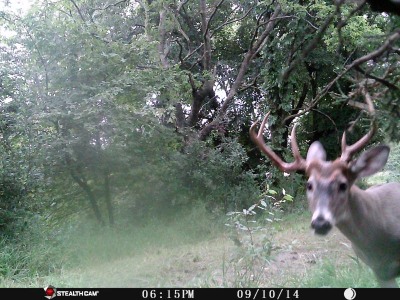 Weird Rack