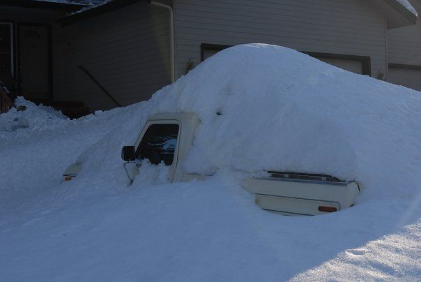 Winter 2009 Ford
