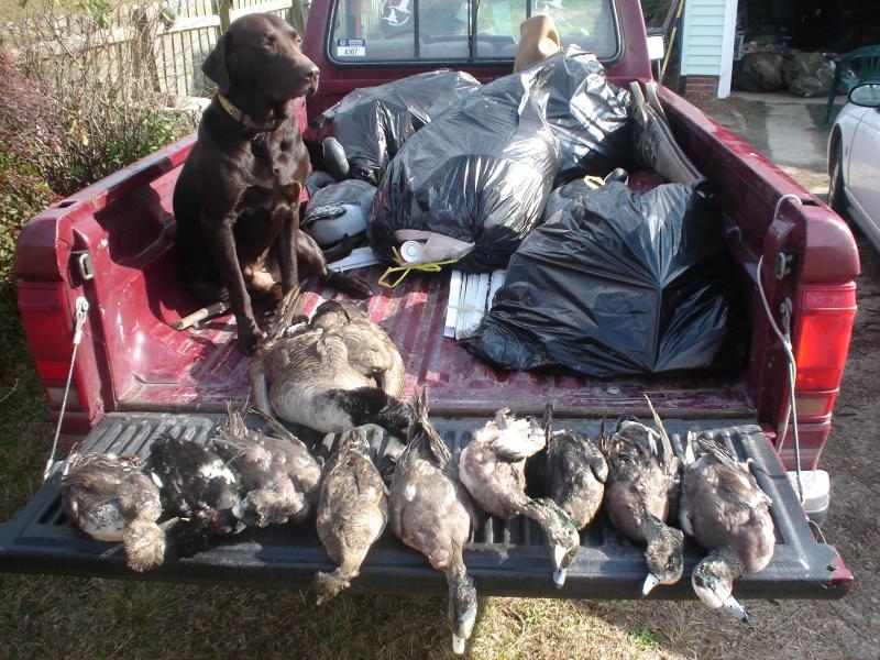 YOU GOT TO LOVE THEM DUCKS