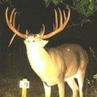 OrionWhitetails
