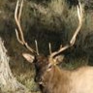 ElkHunter