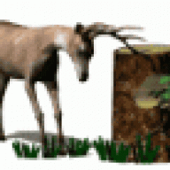 Arrowsmith1