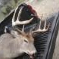 WhitetailFreak88