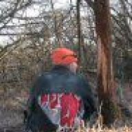 BigfootWillow.com