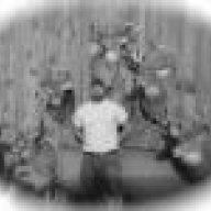 mudingbuck